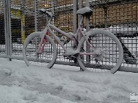 2020-03-15 Selezione foto 179